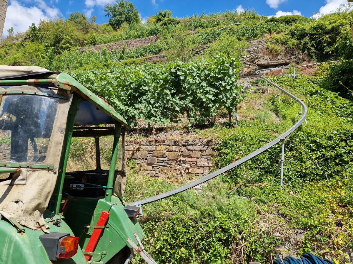 Weingut Haxel Hotel Cochem Exterior foto