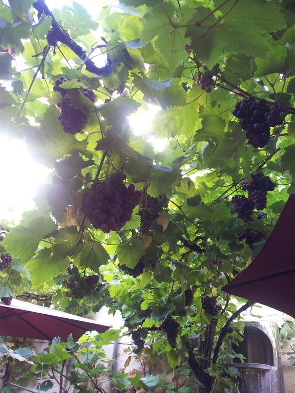 Weingut Haxel Hotel Cochem Exterior foto