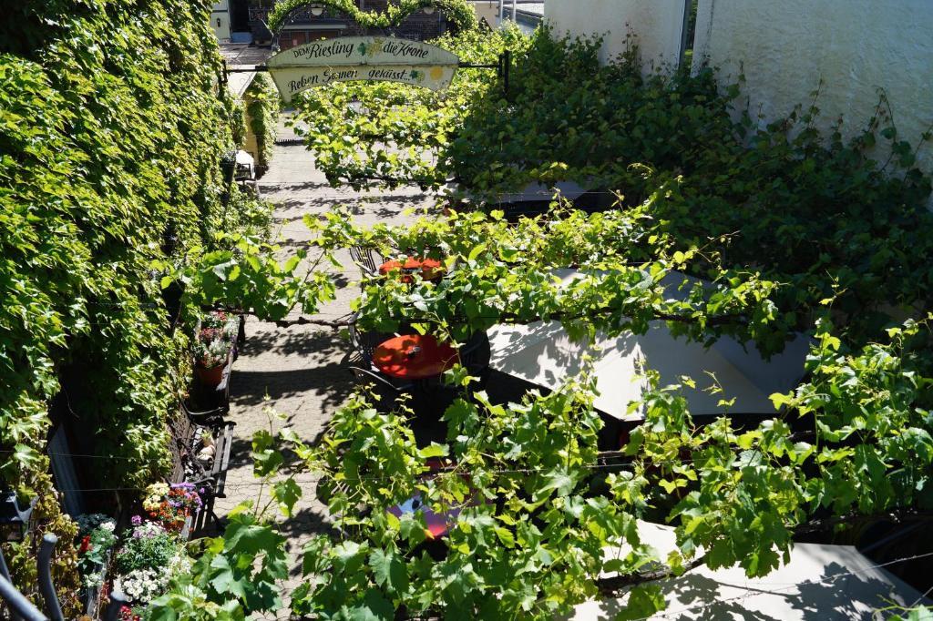 Weingut Haxel Hotel Cochem Exterior foto